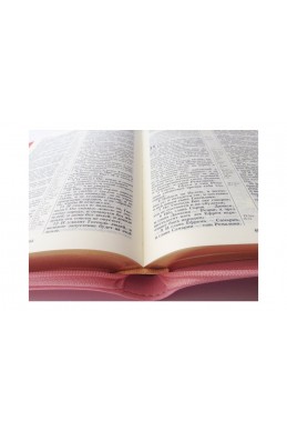Библия на русском языке. (Артикул РМ 437)